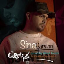 دانلود آهنگ جدید سینا پارسیان به نام کم دارمت